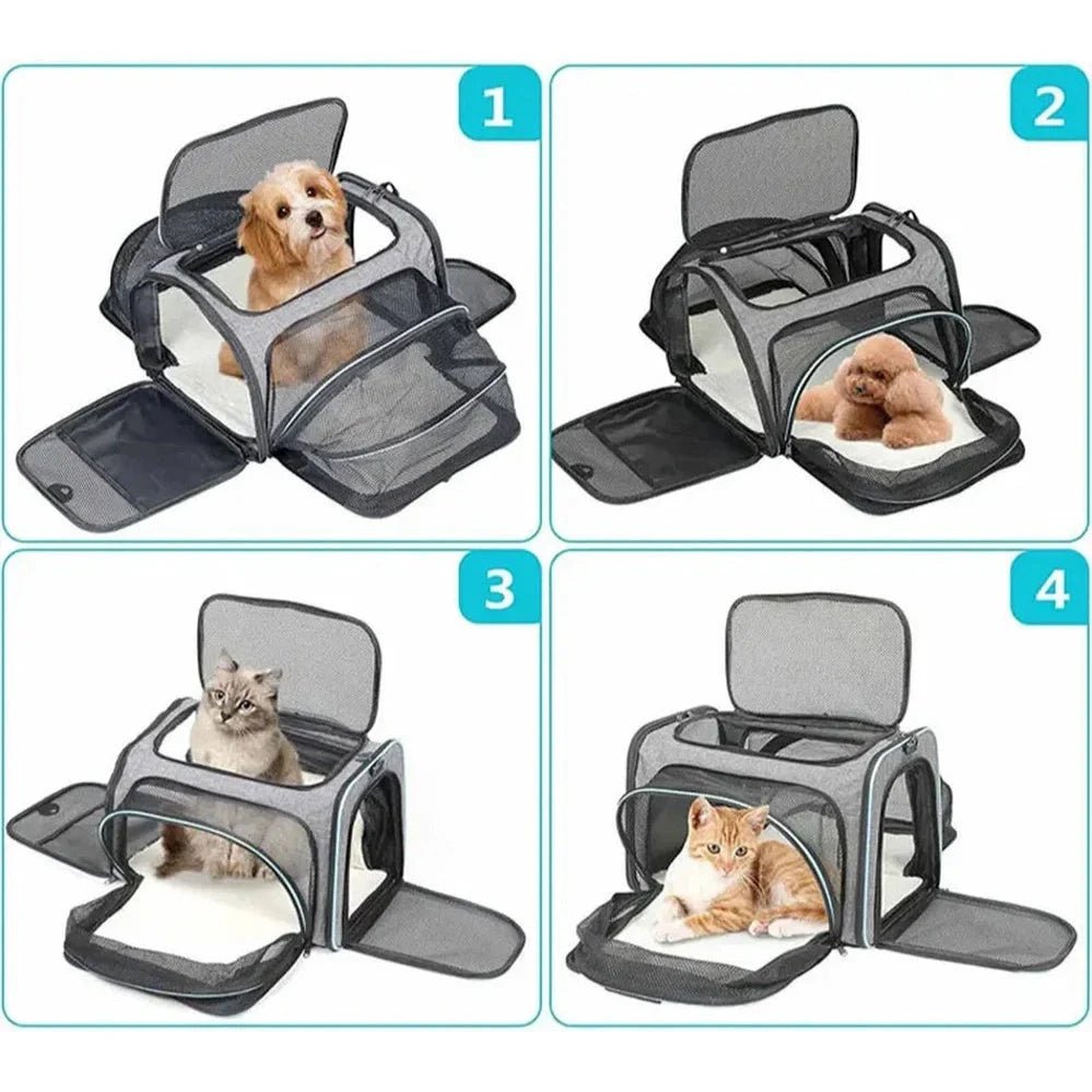 Sac à bandoulière extensible pour chat et chien avec fenêtre en mesh et intérieur doux