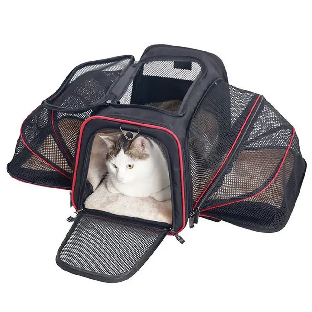 Sac à bandoulière extensible pour chat et chien avec porte noire, trim rouge et fenêtre en maille, chat blanc et brun à l’intérieur