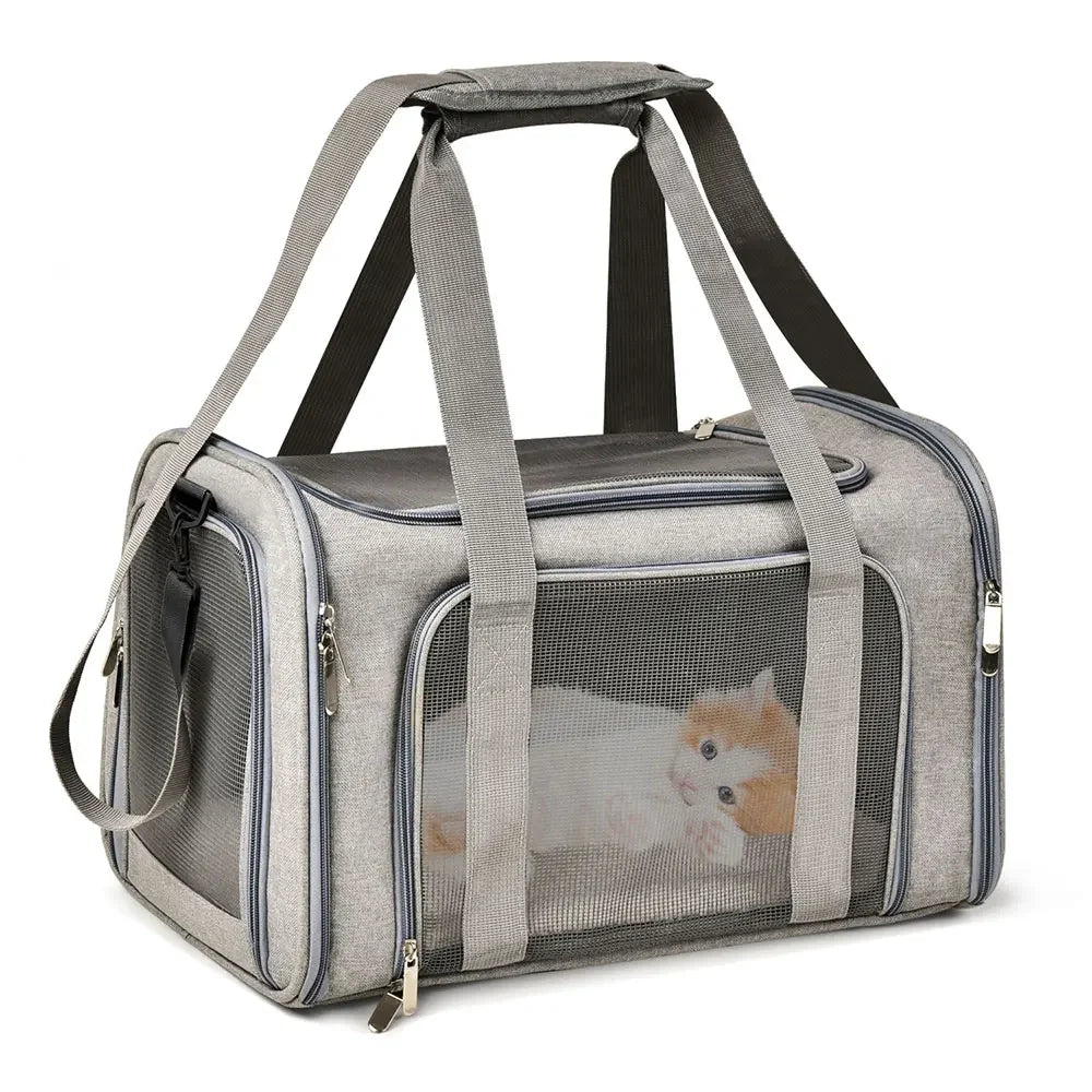 Sac à bandoulière pour chat ou chien avec porte en mesh et chaton à l’intérieur