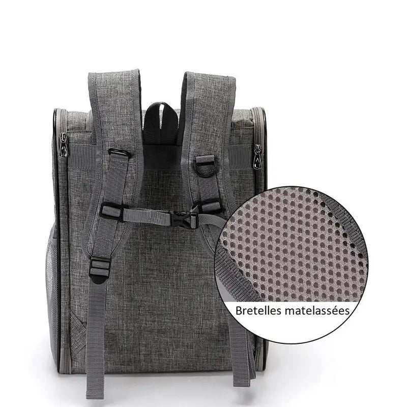 Sac à dos de transport pour chat gris avec bretelles rembourrées, idéal pour voyager