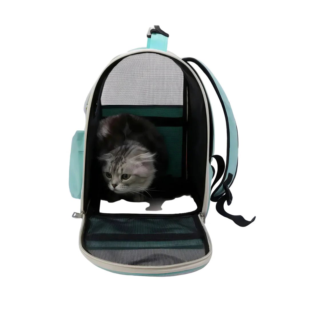 Sac à dos porte chat mint vert et noir avec mesh, contenant un chat gris et blanc fluffy