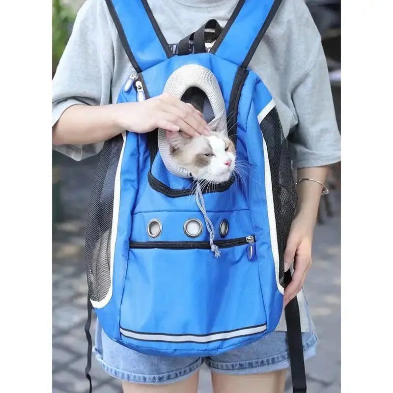 Sac à dos pour chien avec sac de transport bleu et chat qui sort