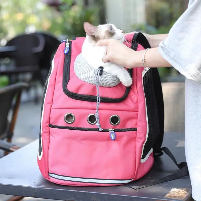 Sac à dos pour chien rose avec un chat à l’intérieur, parfait pour transporter votre animal
