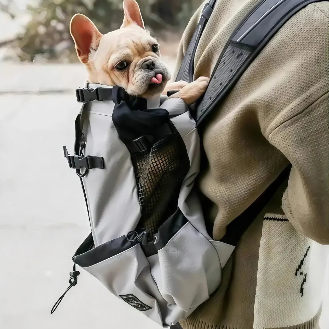French Bulldog dans un sac à dos de transport chien 20kg gris avec poches en mesh