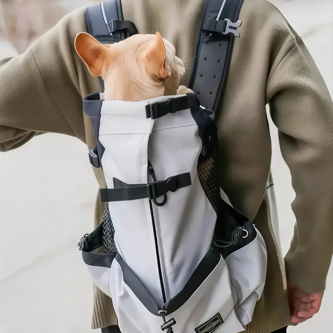 Sac à dos transport chien 20kg en gris clair et noir pour petits chiens