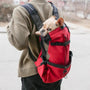 Petit faon Bouledogue Français regardant depuis un sac à dos rouge pour chien 20kg