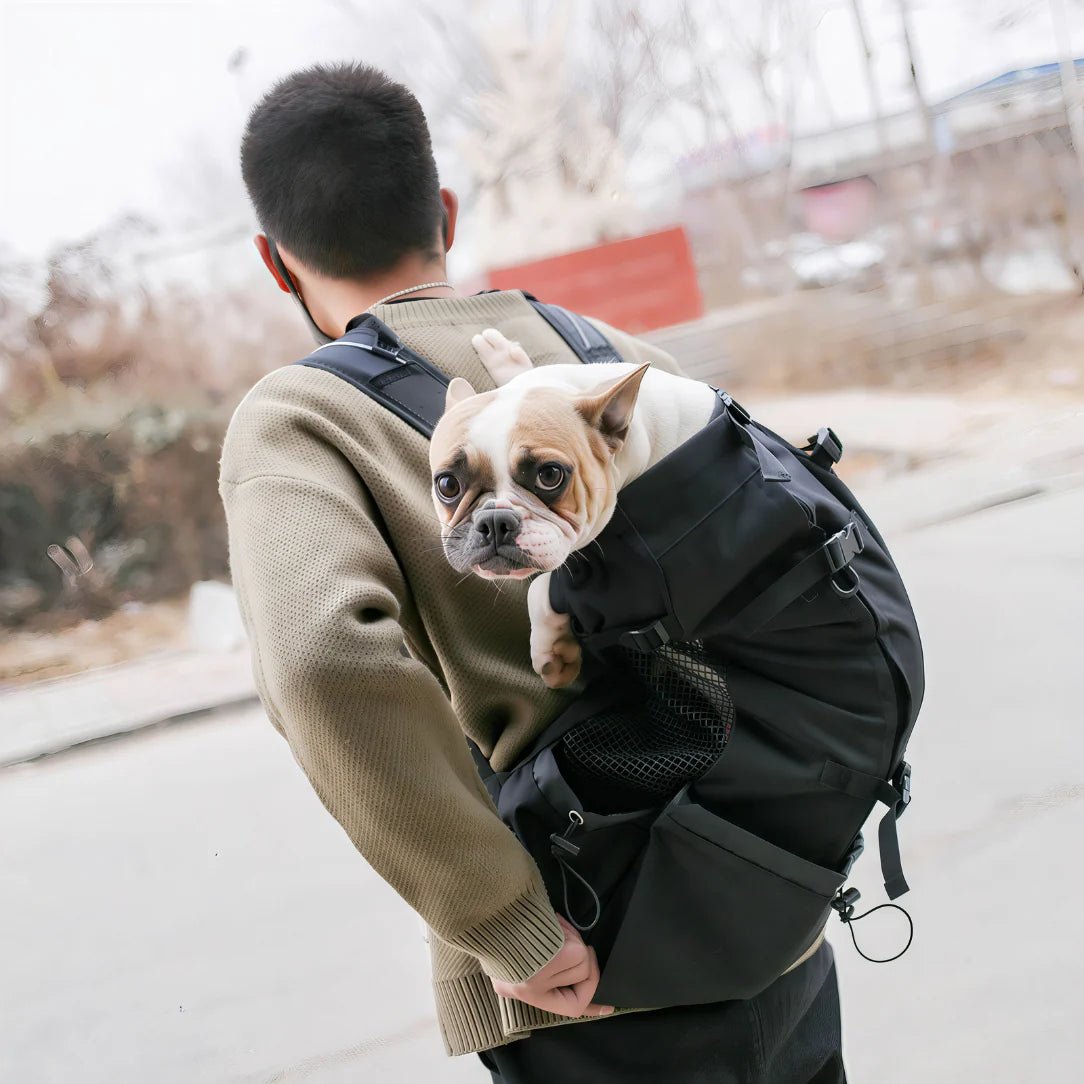 Sac à dos transport chien 20kg avec un chien noir et une poche en mesh