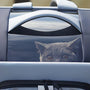 Sac de transport chat rectangulaire extensible avec fenêtre claire révélant un chat