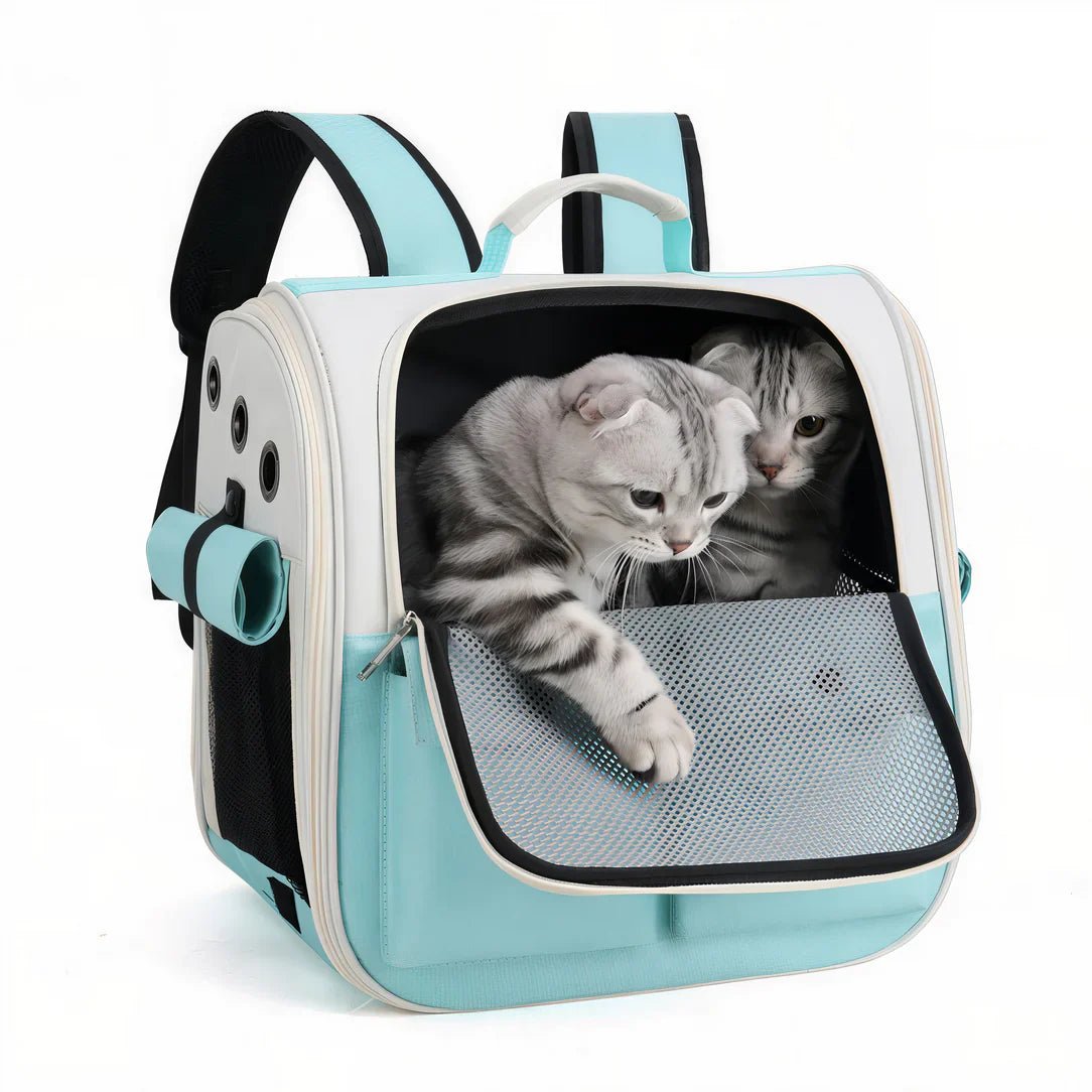 Sac de transport pour chat 10kg Ronron avec deux chats tabby dans un sac léger bleu et blanc