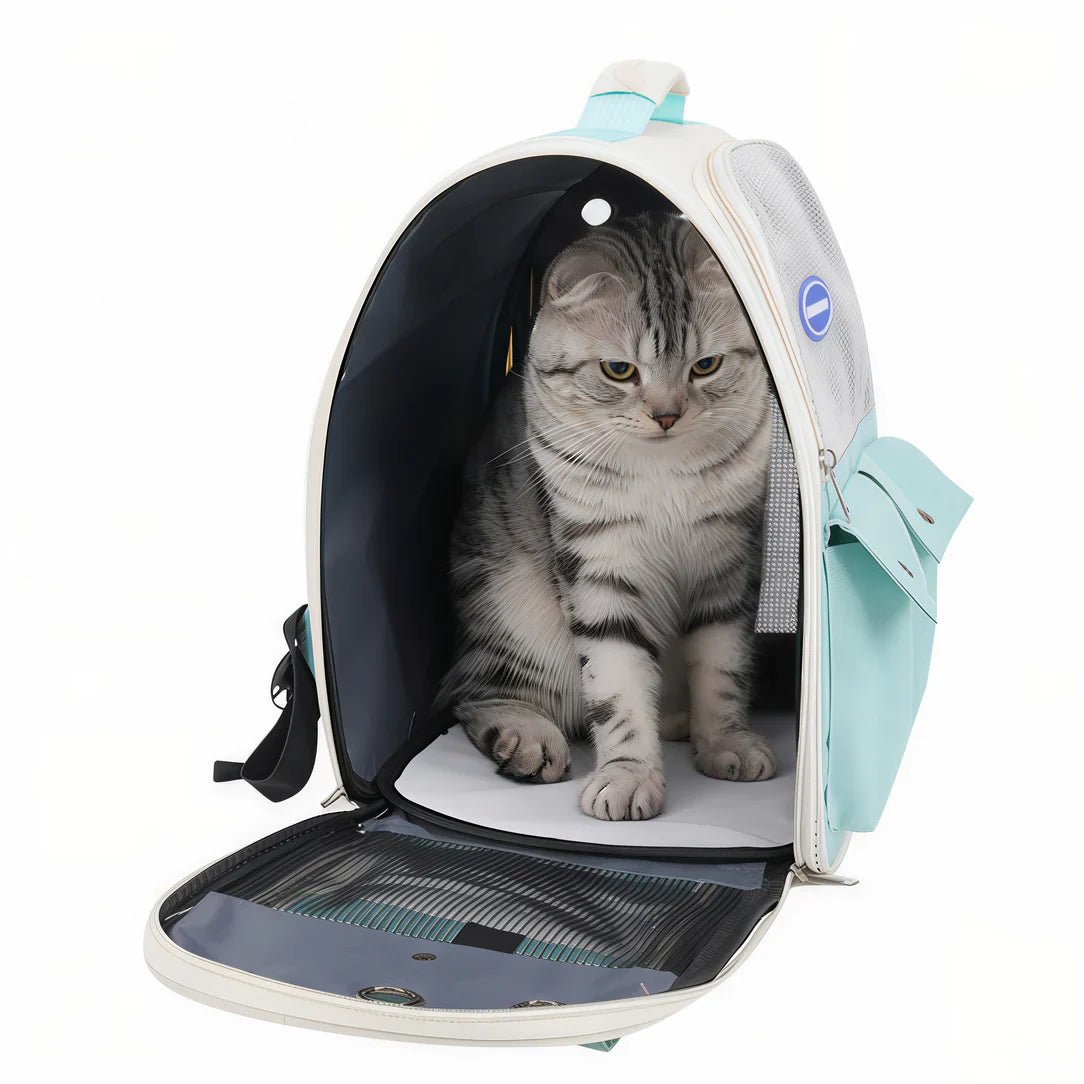 Sac de transport pour chat 10kg Ronron avec un chat tigré à l’intérieur
