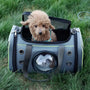 Chien poodle mignon marron dans sac hublot à bandoulière pour chat et chien